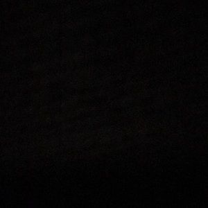 Meet your Posher, Shayla